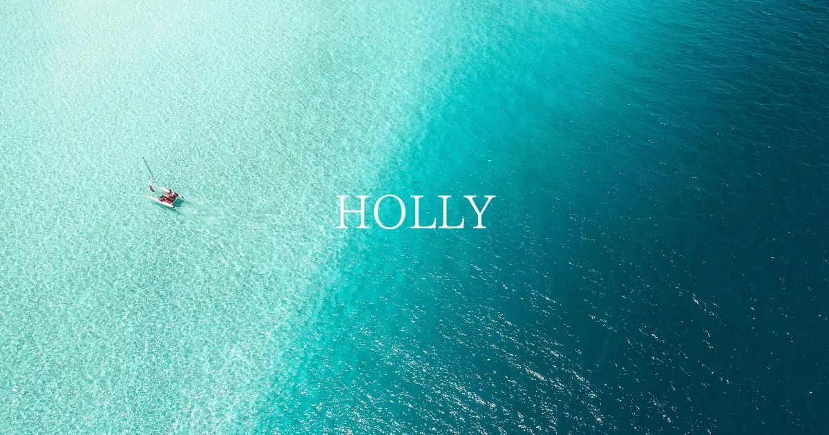 会社概要｜株式会社HOLLY